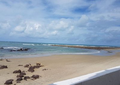 Lauro Tour - Passeios na praia